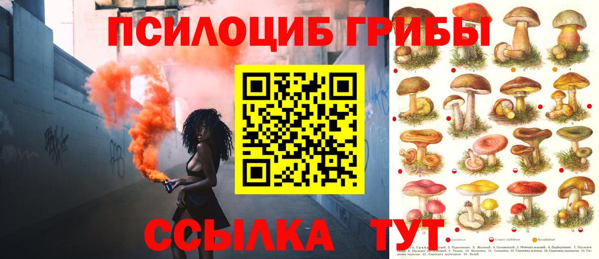Псилоцибиновые грибы ЛСД  где продают наркотики  Вход с VPN  Когалым  Галлюциногенные грибы прущие грибы 